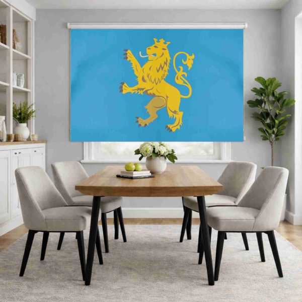 Lviv Oblast Roller Blinds