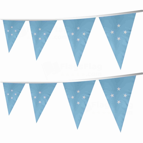 Micronesia Stringed Triangle Flag