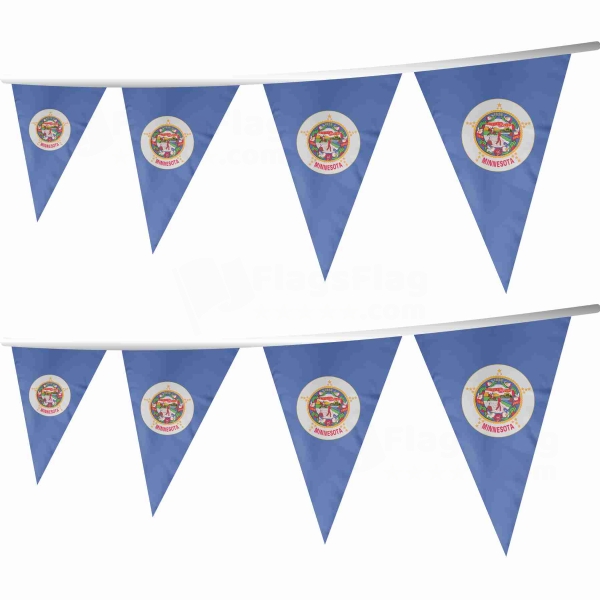 Minnesota 1983 2024 Stringed Triangle Flag