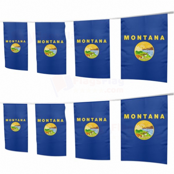 Montana Square String Flags