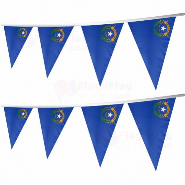 Nevada Stringed Triangle Flag