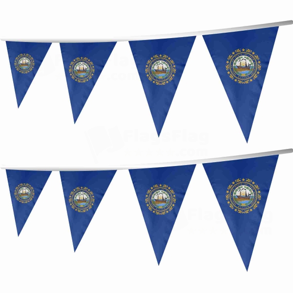 New Hampshire Stringed Triangle Flag