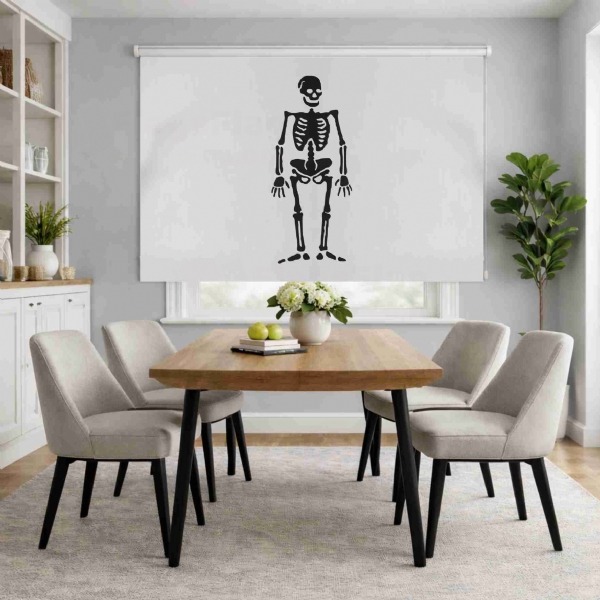 Olivier Levasseur Pirate Roller Blinds