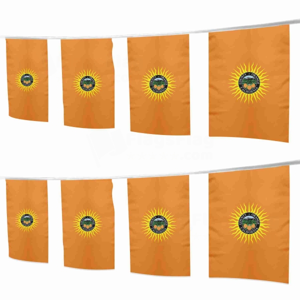 Orange County California Square String Flags