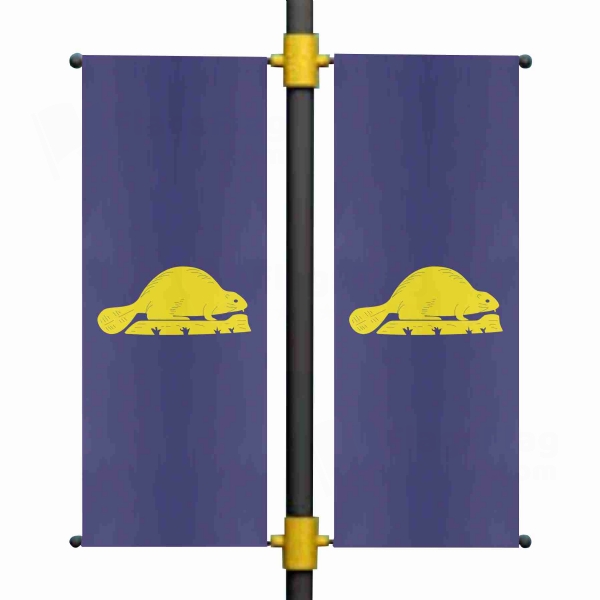 Oregon Reverse Blackout Flag