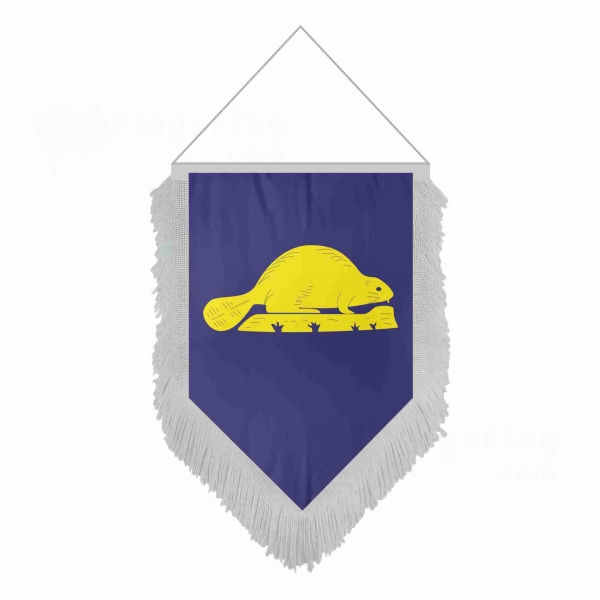Oregon Reverse Pentagonal Flags