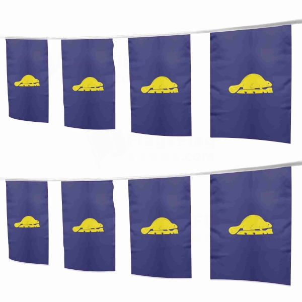 Oregon Reverse Square String Flags