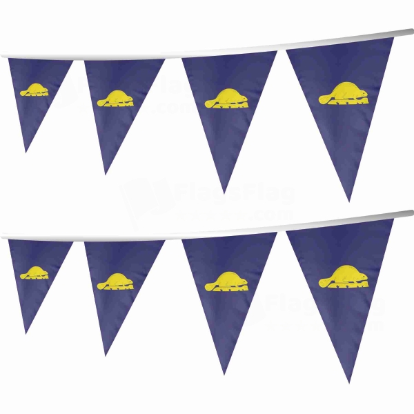 Oregon Reverse Stringed Triangle Flag