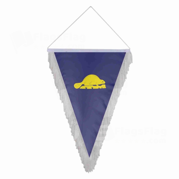 Oregon Reverse Triangle Fringed Streamers