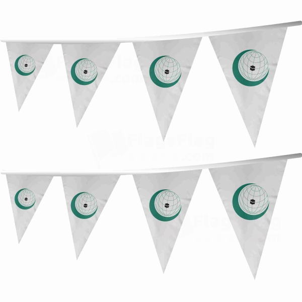 Organisation Of Islamic Cooperation Stringed Triangle Flag