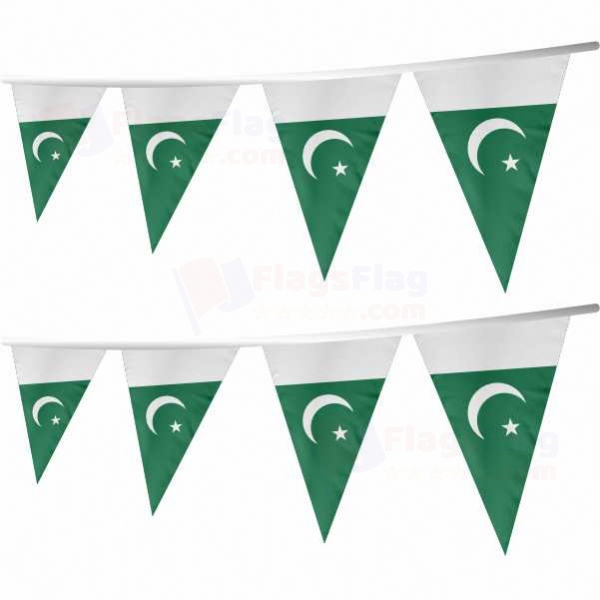 Pakistan Stringed Triangle Flag
