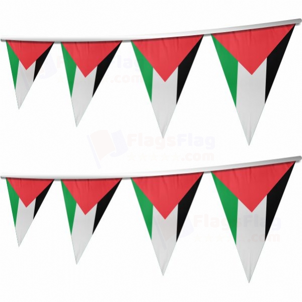 Palestine Stringed Triangle Flag