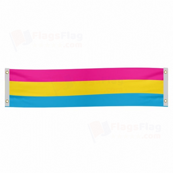 Pansexual Poster Banner
