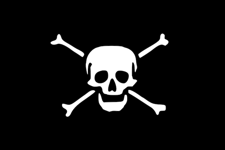 Pirate Flag of John Taylor