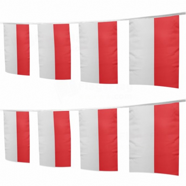 Province Of Kurhessen Square String Flags