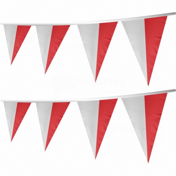 Province Of Kurhessen Stringed Triangle Flag