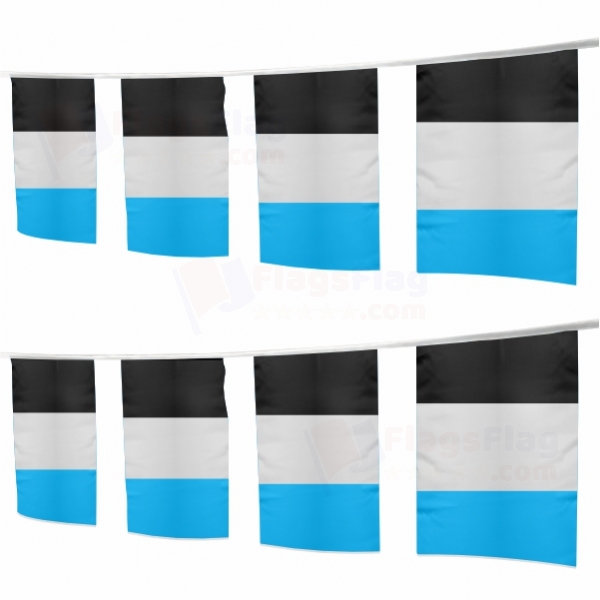 Rainbow Mascic Square String Flags