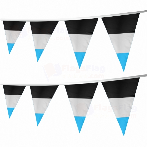 Rainbow Mascic Stringed Triangle Flag