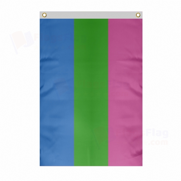Rainbow Polysexuality Large Size Flag Hanging on Building