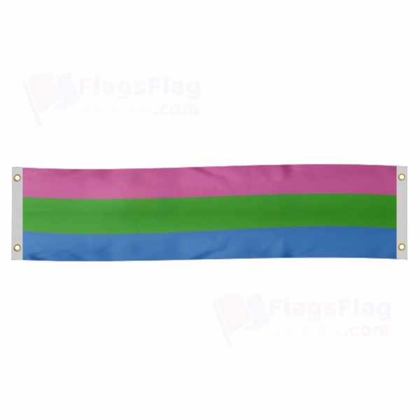 Rainbow Polysexuality Poster Banner