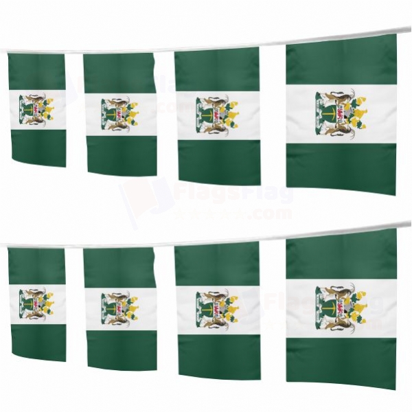 Rhodesia Square String Flags