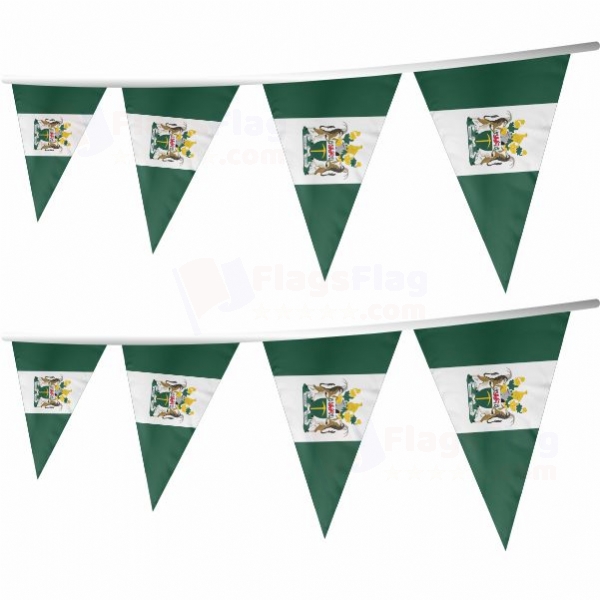 Rhodesia Stringed Triangle Flag