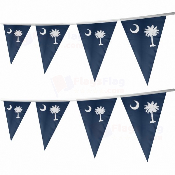 South Carolina Stringed Triangle Flag