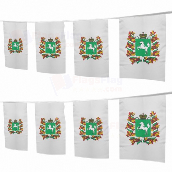 Tomsk Oblast Square String Flags