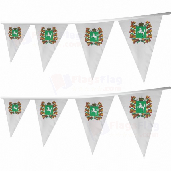 Tomsk Oblast Stringed Triangle Flag