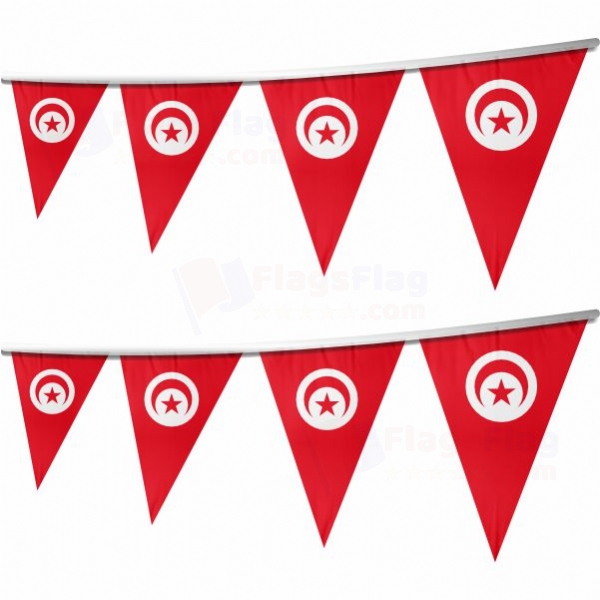 Tunisia Stringed Triangle Flag