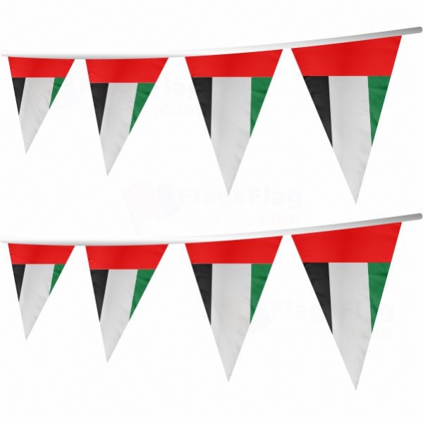 United Arab Emirates Stringed Triangle Flag