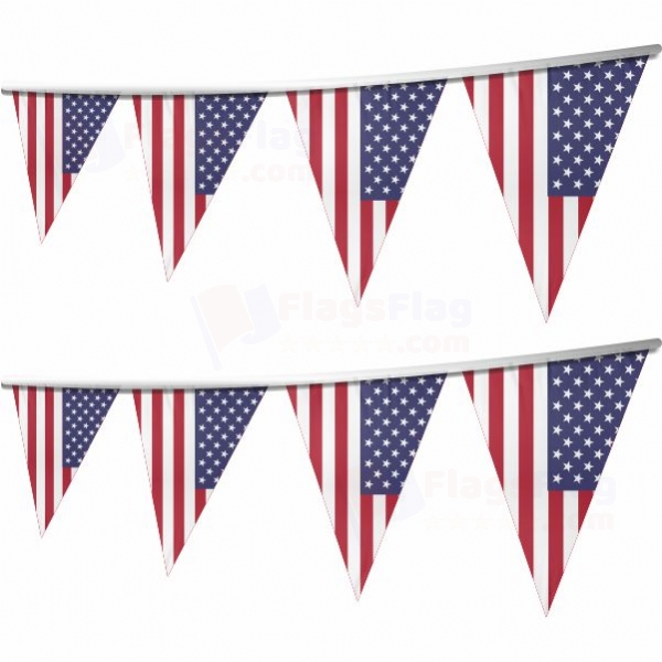 United States of America Stringed Triangle Flag