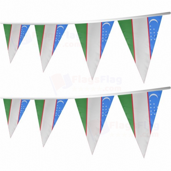 Uzbekistan Stringed Triangle Flag