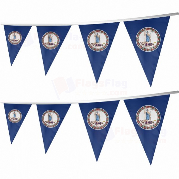 Virginia Stringed Triangle Flag